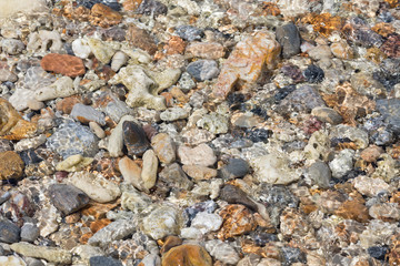 bright multi colored pebbles in sunlight on the seabed
