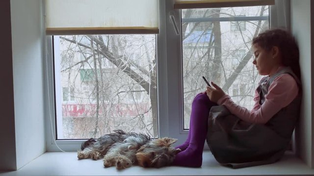 girl teen playing online the game for smartphone and pet dog sitting on window sill windowsill web