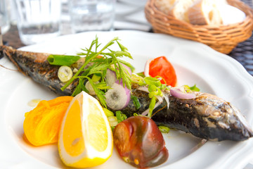 delicious plate of fish and fresh salad