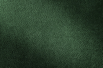 Green leather texture, leather background for fashion, interior or furniture concept design.