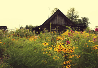 Scenic shot of the old barn buildings © pictures_for_you