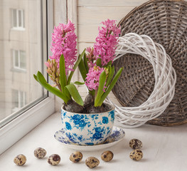 Pink hyacinth in a pot with a vintage pattern