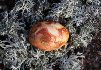 Easter eggs on a moss