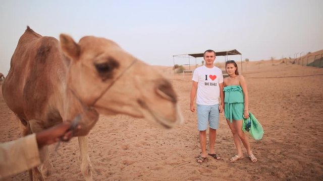 The boy and girl riding on a camel. Desert near Dubai.