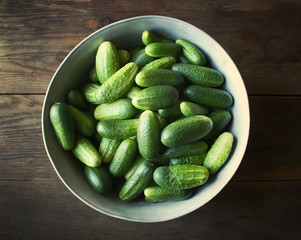 Fresh ripe cucumbers