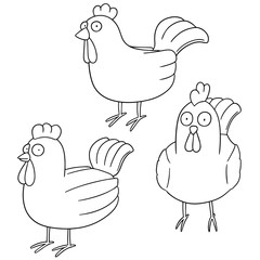 vector set of chicken