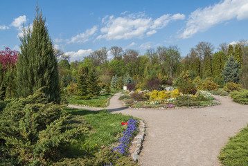 UKRAINE, BELAYA TSERKOV: Coniferetum with spring flowers bloomin