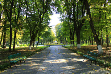 Autumnal park with promenade path and big trees