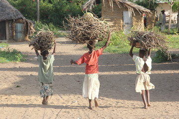 Bambine africane trasportano legna