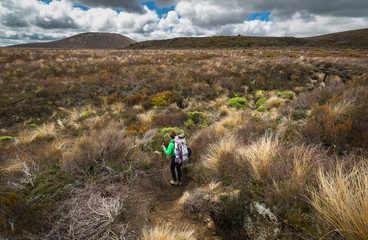 Woman hiker with backpack tramping on Tongariro national park