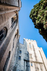 Visite du Palais des Papes d'Avignon