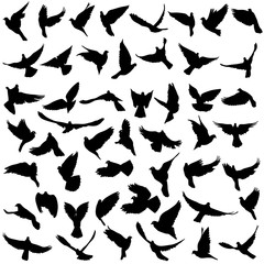 Concept of love or peace. Set silhouettes doves. Vector illustration
