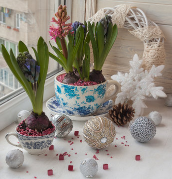 Hyacinths in vintage pots and  Christmas decorations.