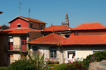 Porto, 27/03/2012: i tetti rossi della città vecchia con vista della Torre dos Clerigos, la Torre dei Chierici, una torre di pietra in stile barocco costruita tra il 1754 e il 1763