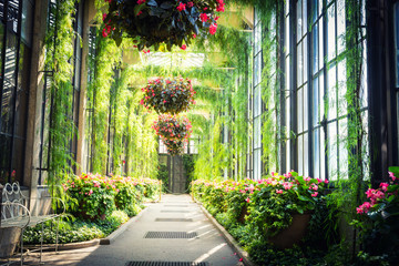 Green alley with flowers hanging in pots.