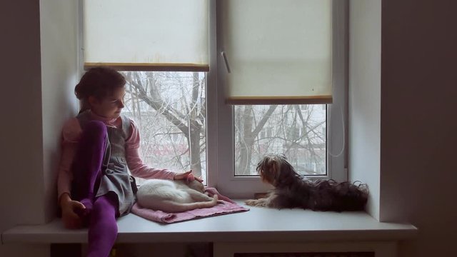 girl teen and dog sitting on a window sill pet windowsill
