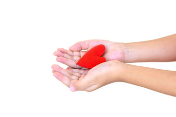 Hands holding red heart isolated on white background.