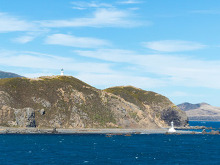 Fototapeta premium Marlborough Sounds Marlborough New Zealand