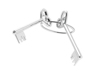 The 3D illustration a silver keys.