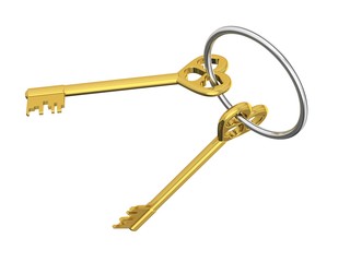 The 3D illustration a golden keys.
