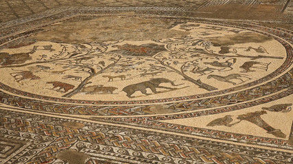 Obraz premium Volubilis,Maroc