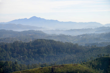 Train from Ella to Kandy among tea plantations and mountains, Sri Lanka