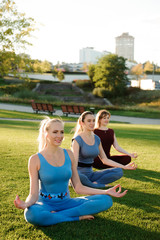 Fototapeta na wymiar a group of adult women attending yoga outside in the park