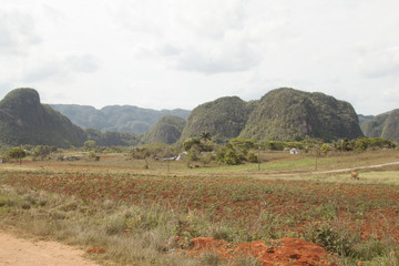 valle di Vinales Stato di Cuba © frrlbt