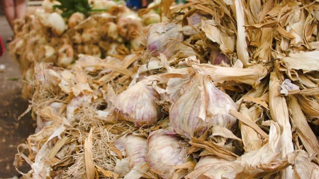 Harvest garlic on the counter at the farmers market