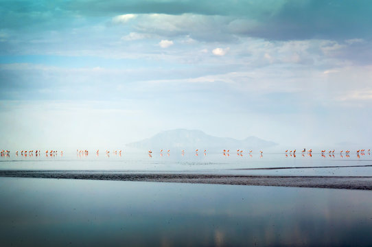 Fototapeta Natural park and Lake Latron in Tanzania, Africa