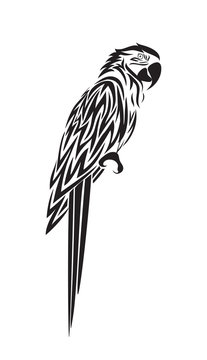 Parrot vector icon