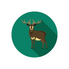 Forest deer color flat icon for web and mobile design