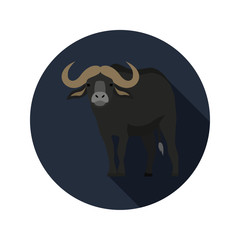 Bison color flat icon for web and mobile design