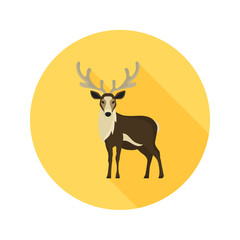 Reindeer color flat icon for web and mobile design