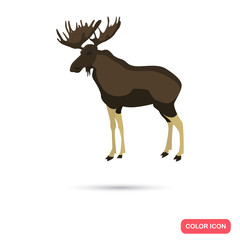 Forest elk color flat icon for web and mobile design