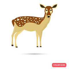 Doe color flat icon for web and mobile design