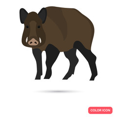 Wild boar color flat icon for web and mobile design