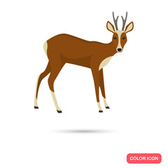 Antelope color flat icon for web and mobile design