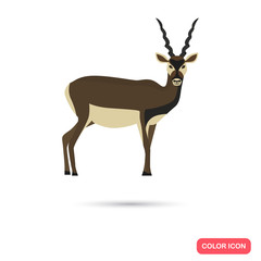 Horned antelope color flat icon for web and mobile design