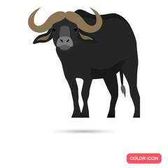 Bison color flat icon for web and mobile design