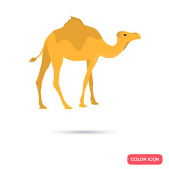 Camel color flat icon for web and mobile design