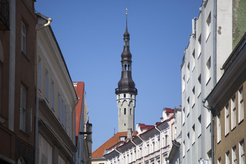 Fototapeta premium Tallinn 