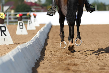 Close up of the horse shoe in motion. Dressage competition. - 133297412