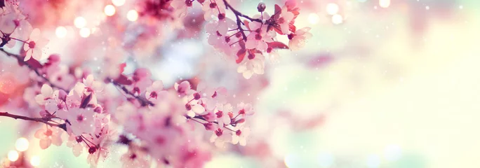 Fotobehang Lente Lente grens of achtergrond kunst met roze bloesem. Prachtige natuurscène met bloeiende boom en zonnevlam