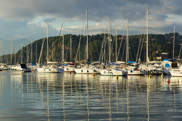 Boats in harbor