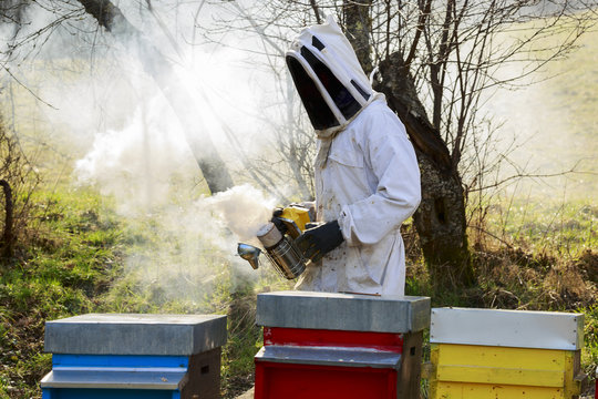 Beekeeper at work