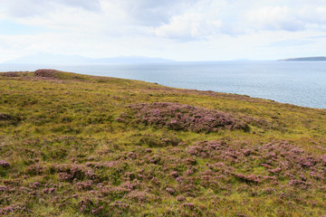 Rural scottish panorama