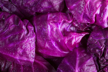 Purple cabbage background.