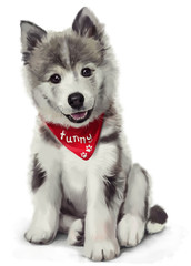 Husky illustration © Kajenna