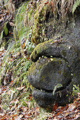 nodule / nodule in Nichinan-cho is called a 